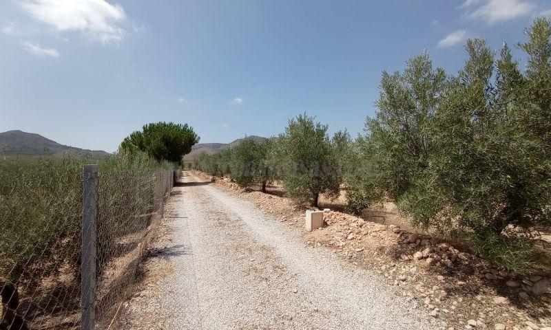 For sale of villa in Hondón De Las Nieves