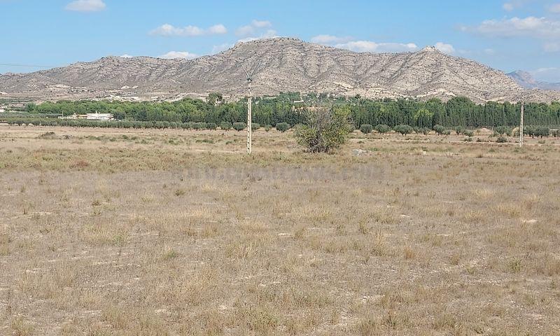 For sale of land in Hondón De Las Nieves