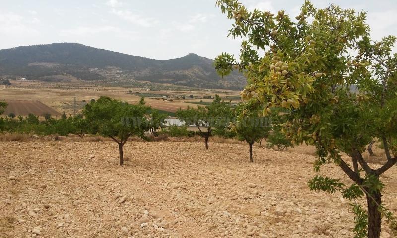 For sale of land in Hondón De Las Nieves