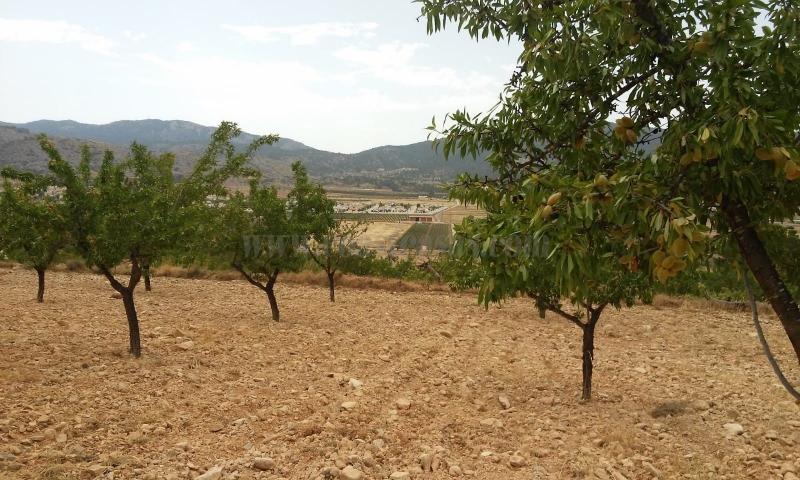 For sale of land in Hondón De Las Nieves