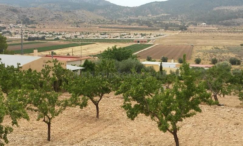 For sale of land in Hondón De Las Nieves