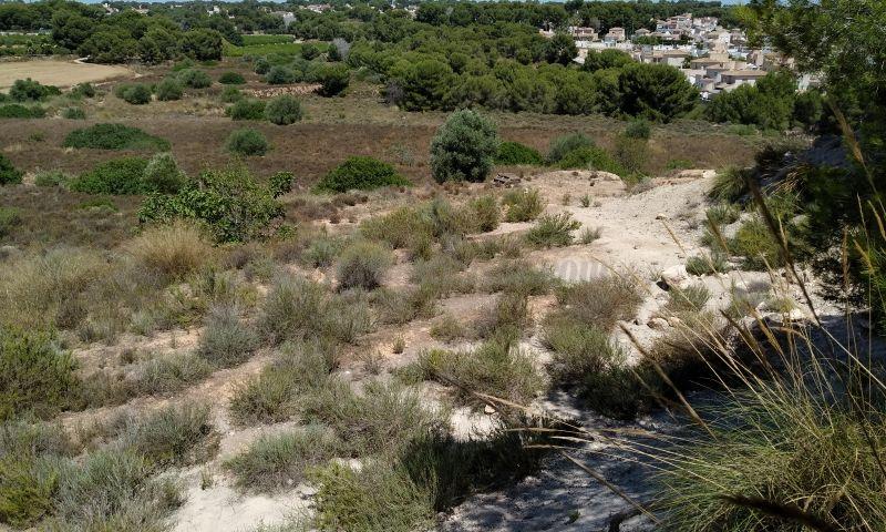 For sale of land in Pinar De Campoverde