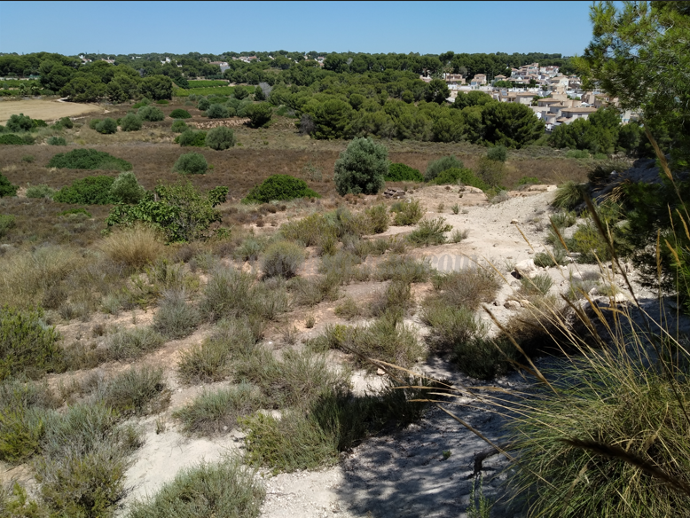 Venta de terreno en Pinar De Campoverde