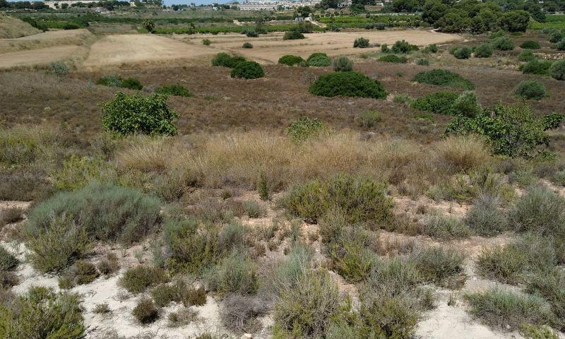 For sale of land in Pinar De Campoverde