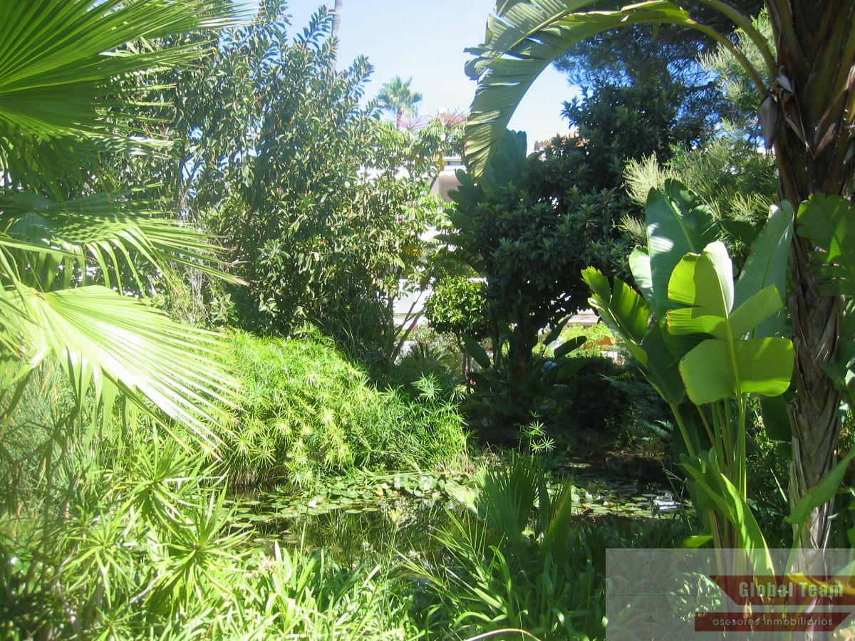 Vente de appartement dans Estepona