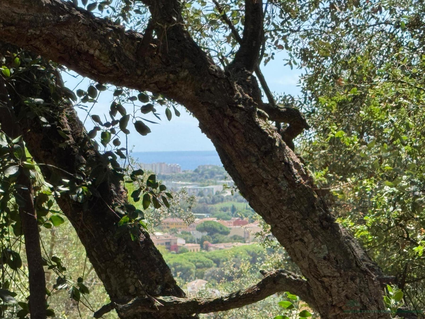 Venta de terreno en Calonge