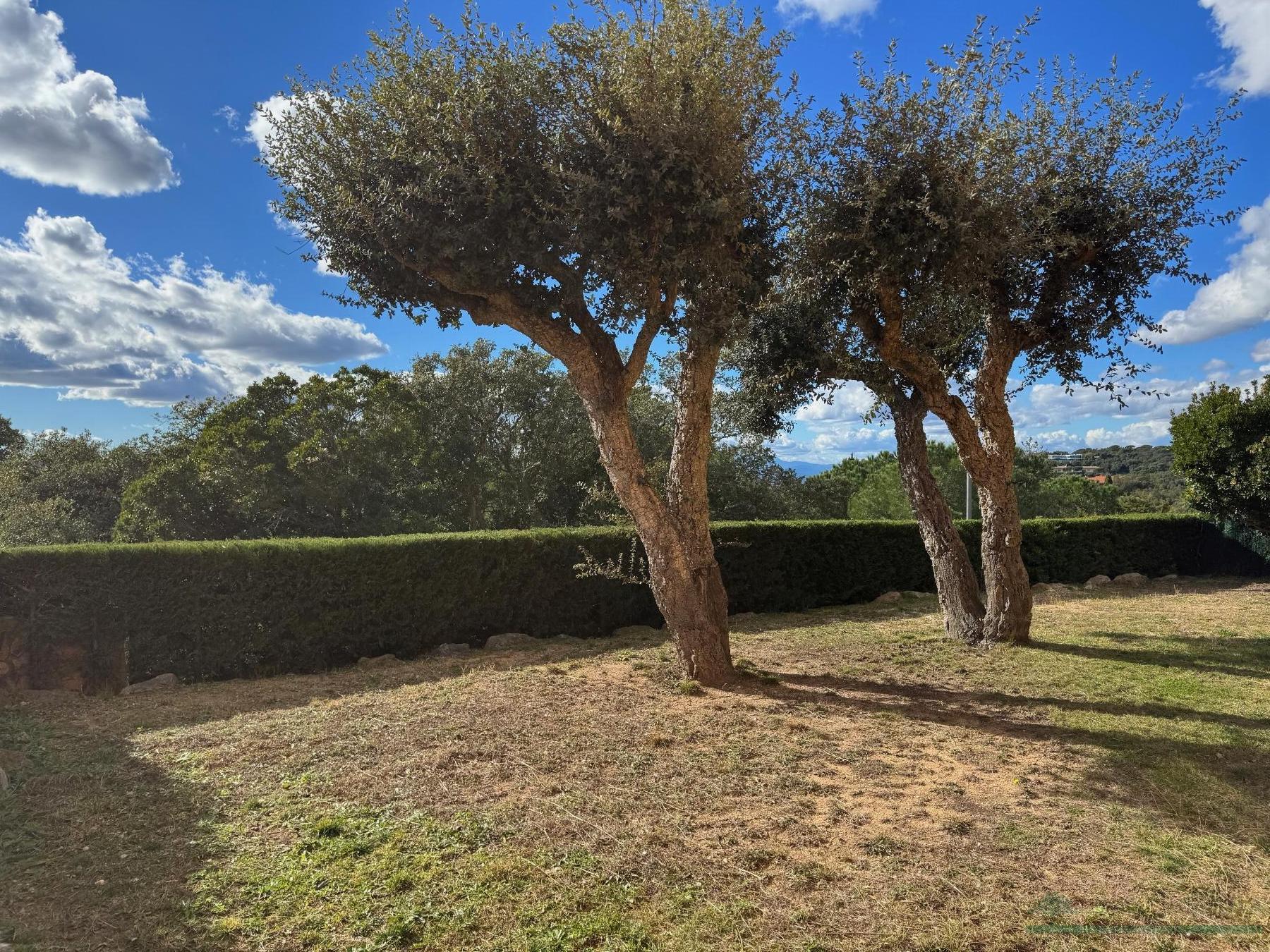 Salg av leilighet i Castell-Platja d´Aro