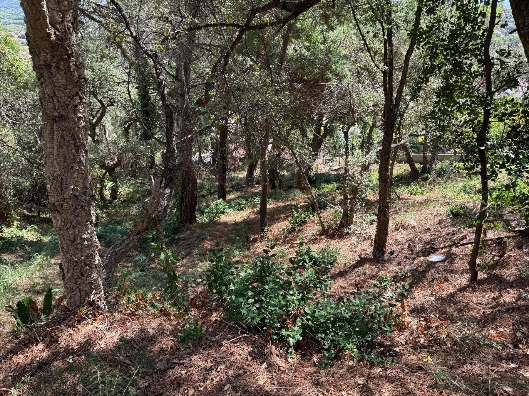 Venta de terreno en Calonge