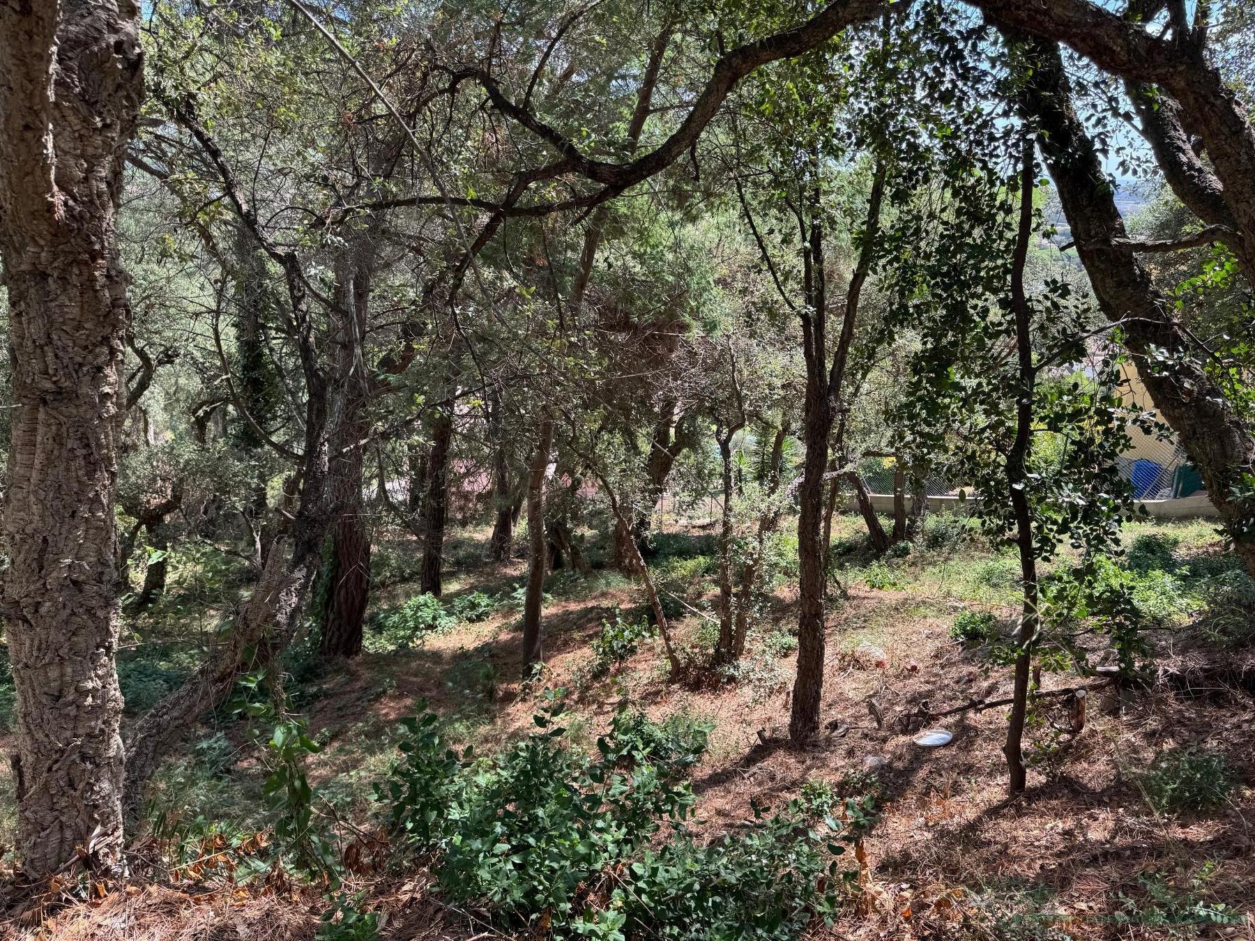 Venta de terreno en Calonge