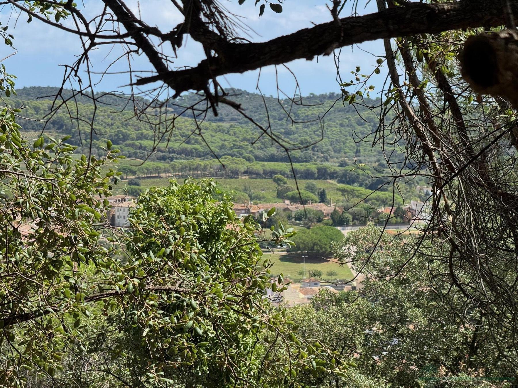 Venta de terreno en Calonge
