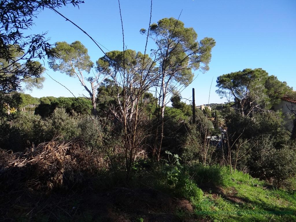 Venda de terreny a Calonge