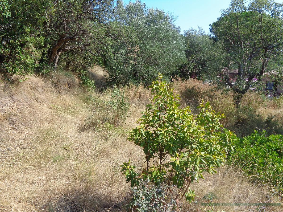 Zu verkaufen von grundstück in
 Platja d´Aro