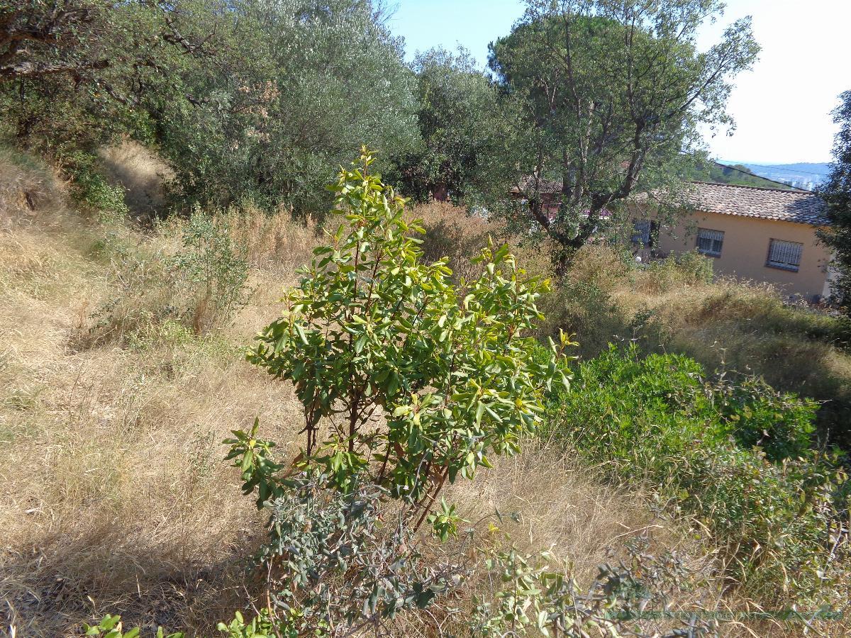 Zu verkaufen von grundstück in
 Platja d´Aro