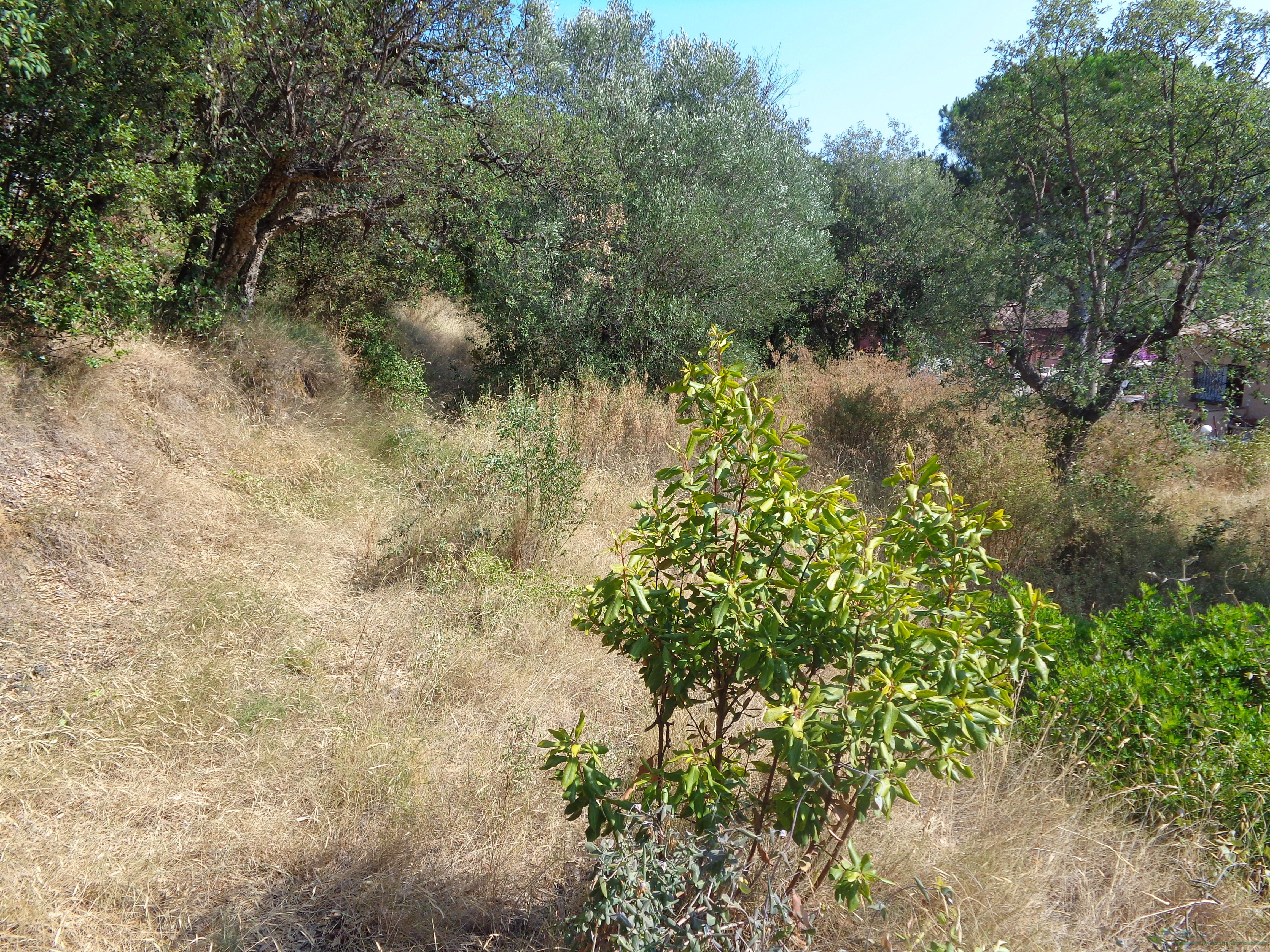 Zu verkaufen von grundstück in
 Platja d´Aro