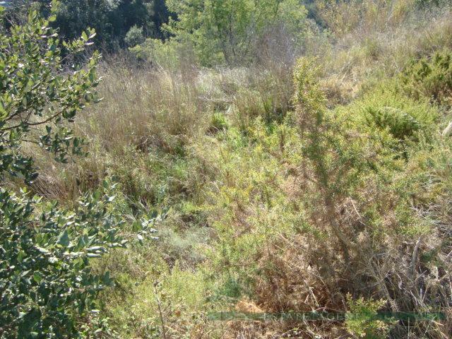 For sale of land in Calonge