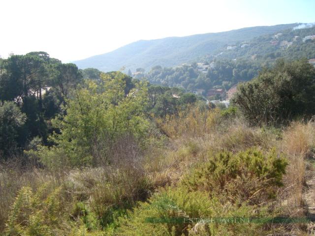 For sale of land in Calonge