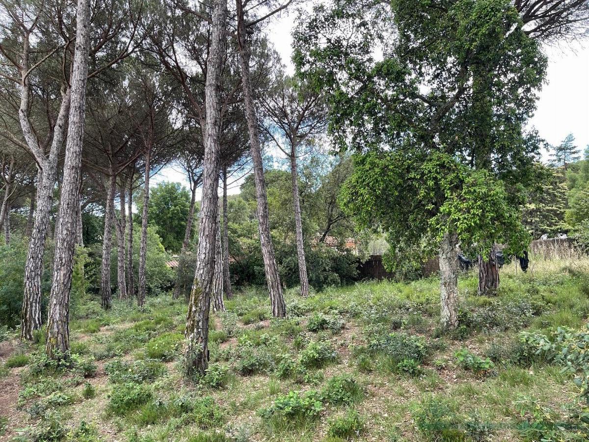Venda de terreny a Llagostera