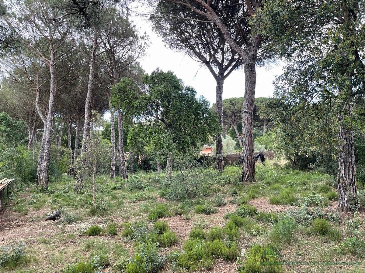 For sale of land in Llagostera