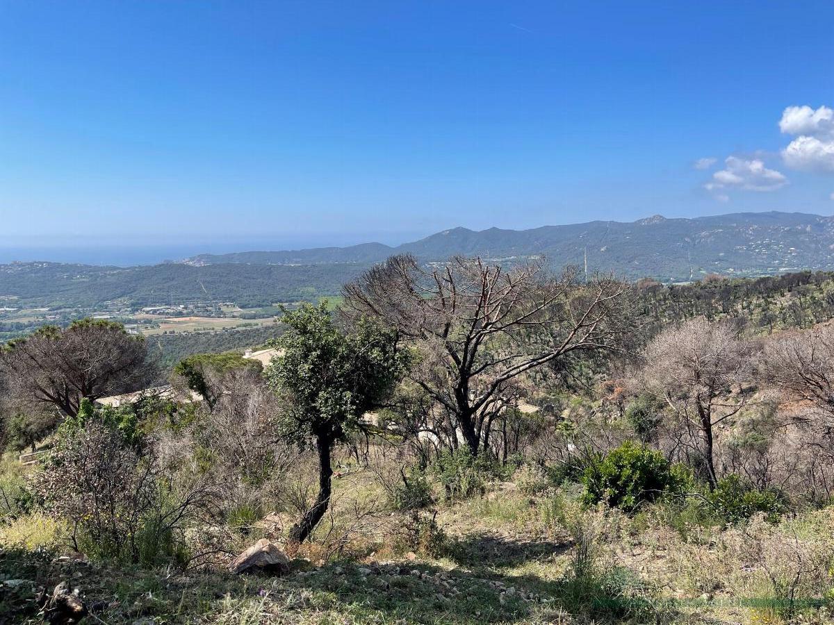 Salg av terreng i Castell d´Aro
