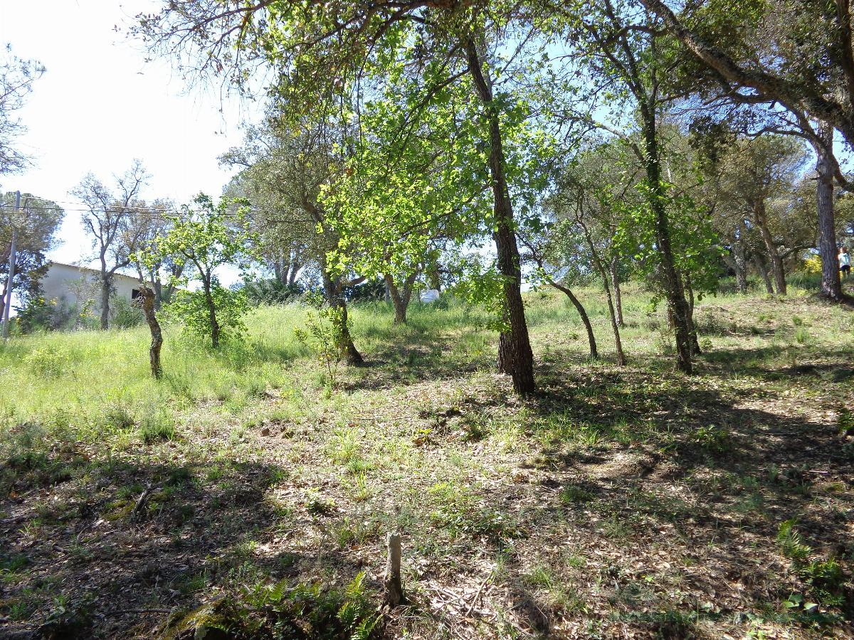 For sale of land in Santa Cristina D´aro