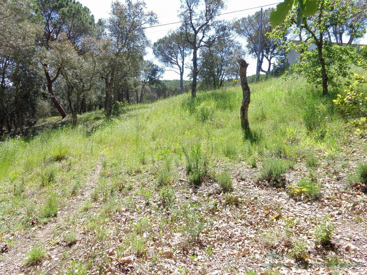 For sale of land in Santa Cristina D´aro