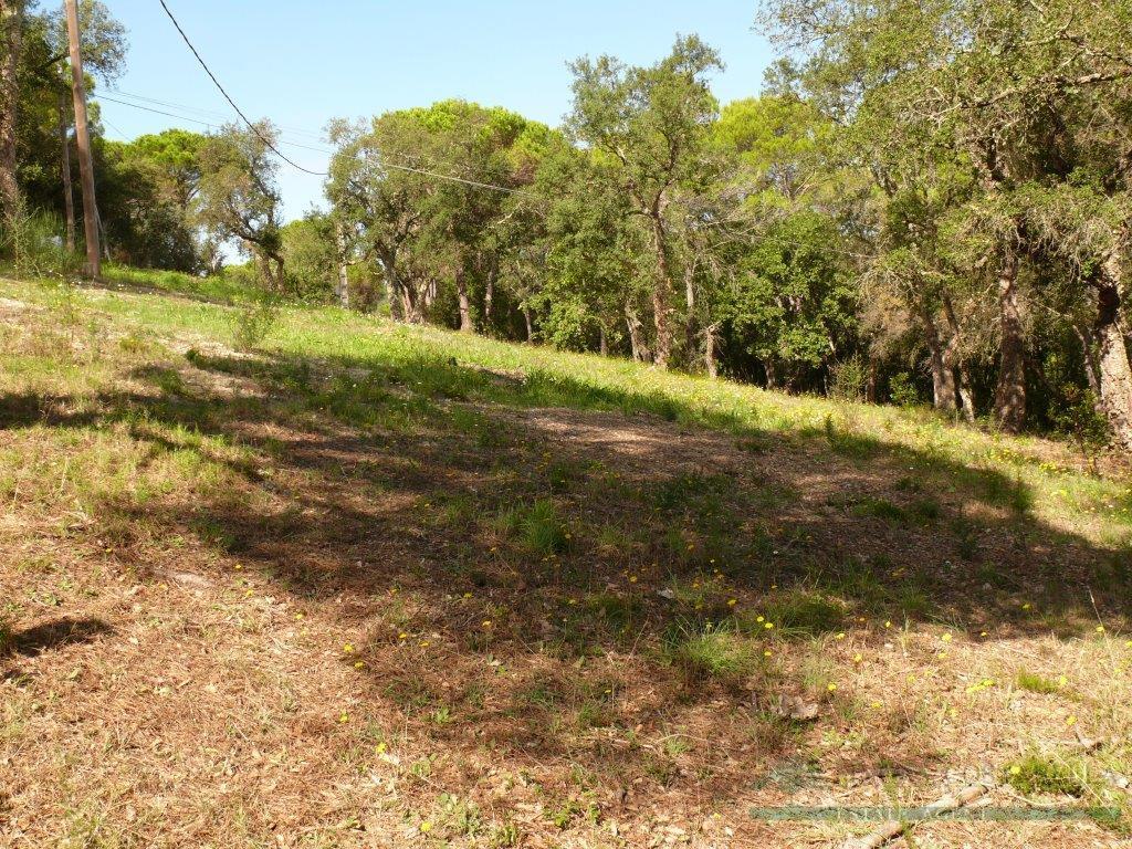 For sale of land in Santa Cristina D´aro