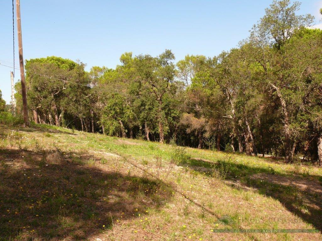 For sale of land in Santa Cristina D´aro