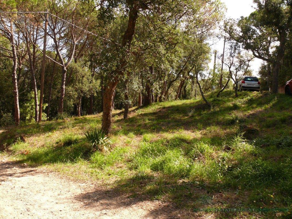 For sale of land in Santa Cristina D´aro