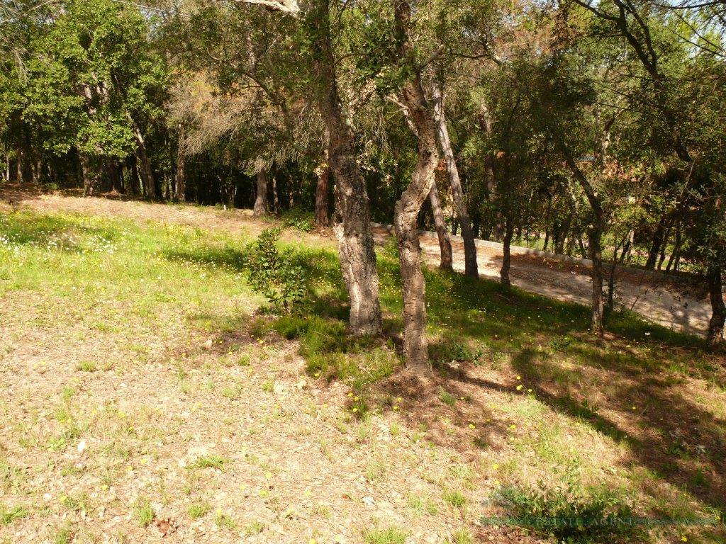 For sale of land in Santa Cristina D´aro