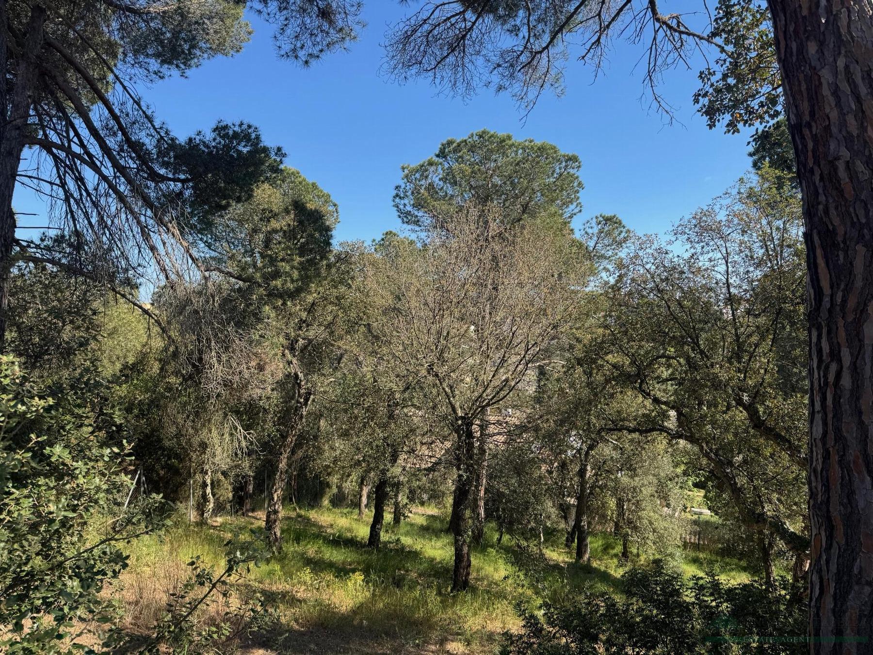 Venta de terreno en Calonge