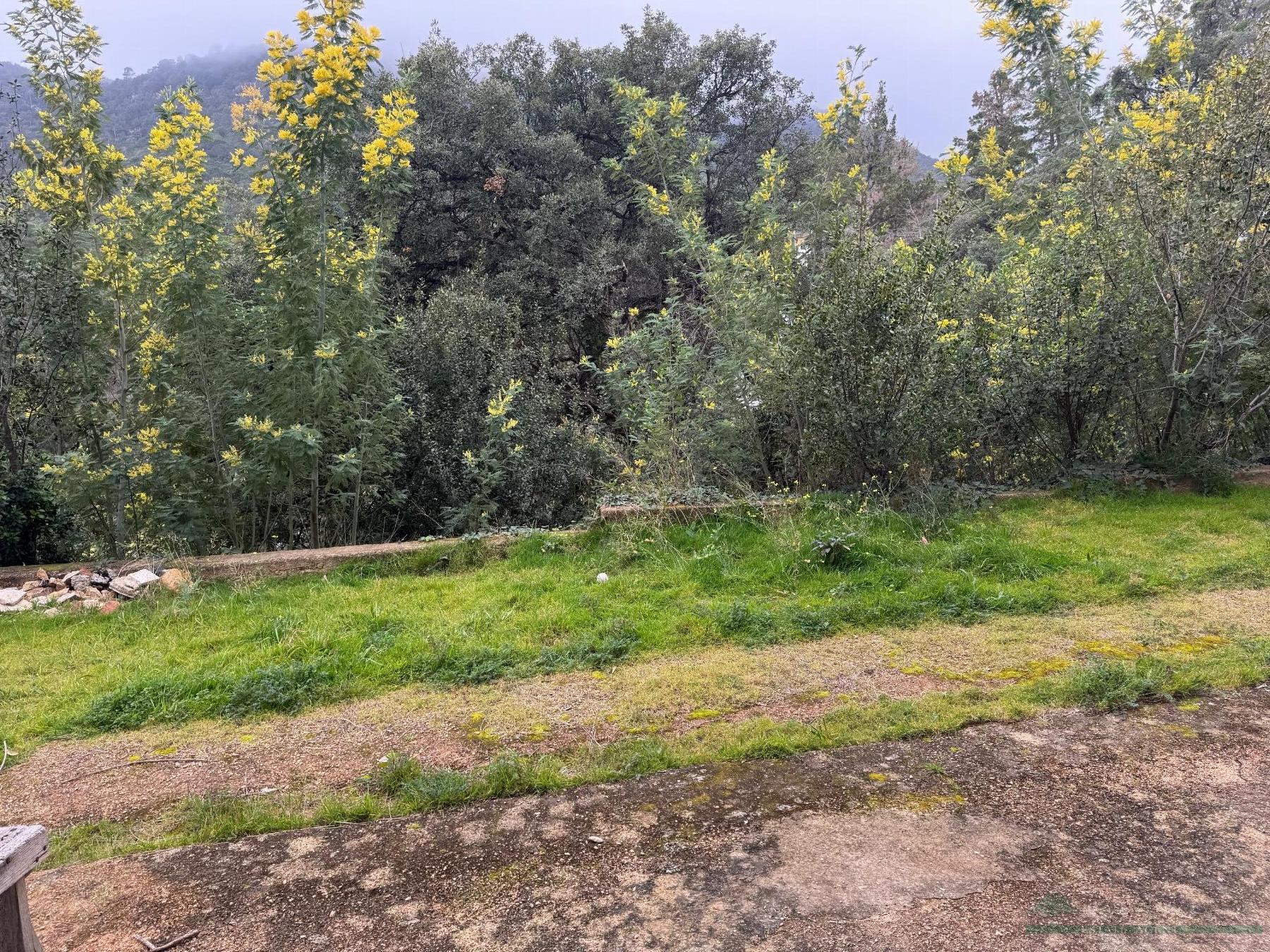 Verkoop van huis in Santa Cristina D´aro
