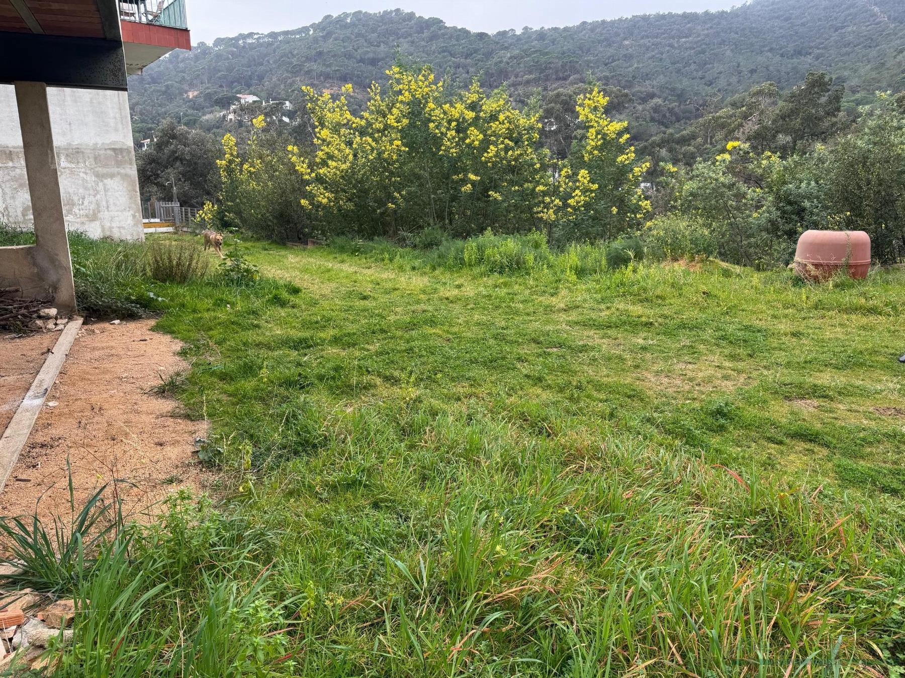 Til salg fra hus i Santa Cristina D´aro