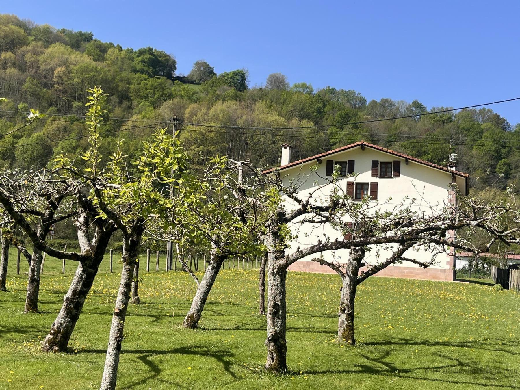 Venta de casa en Baztan