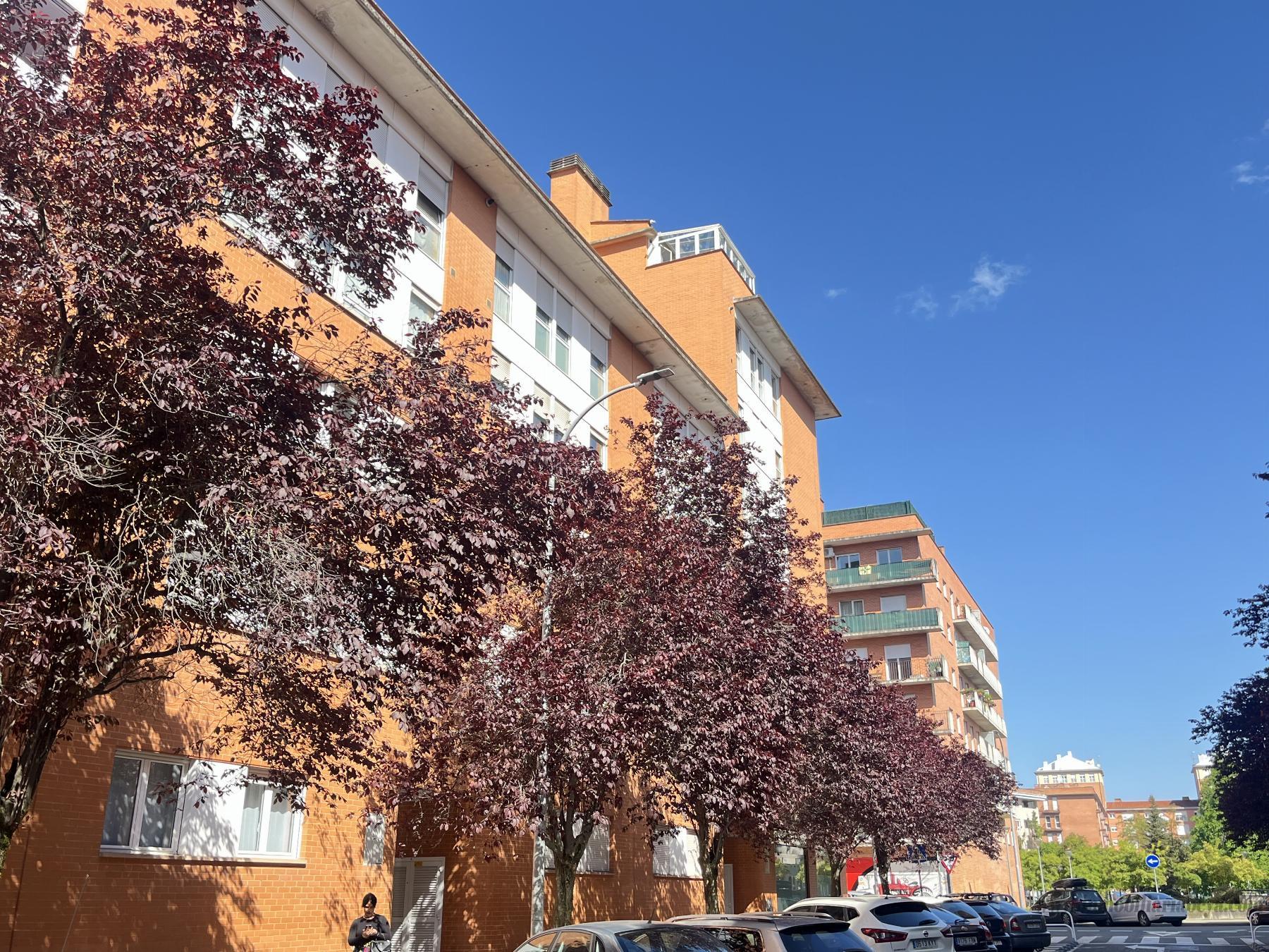 For rent of flat in Pamplona