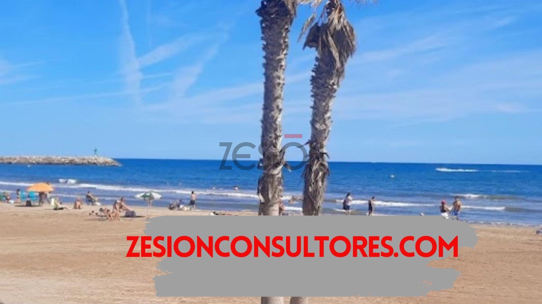 For share of commercial in Alboraya