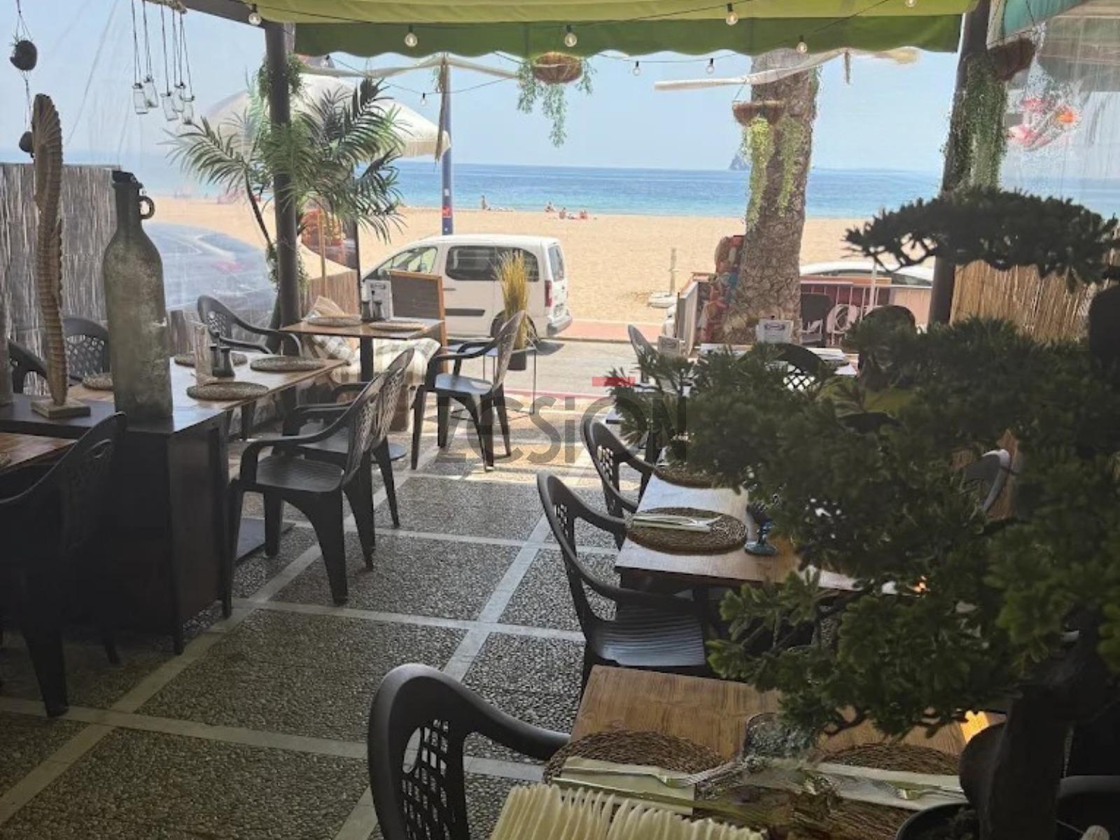 Traspaso de local en Benidorm