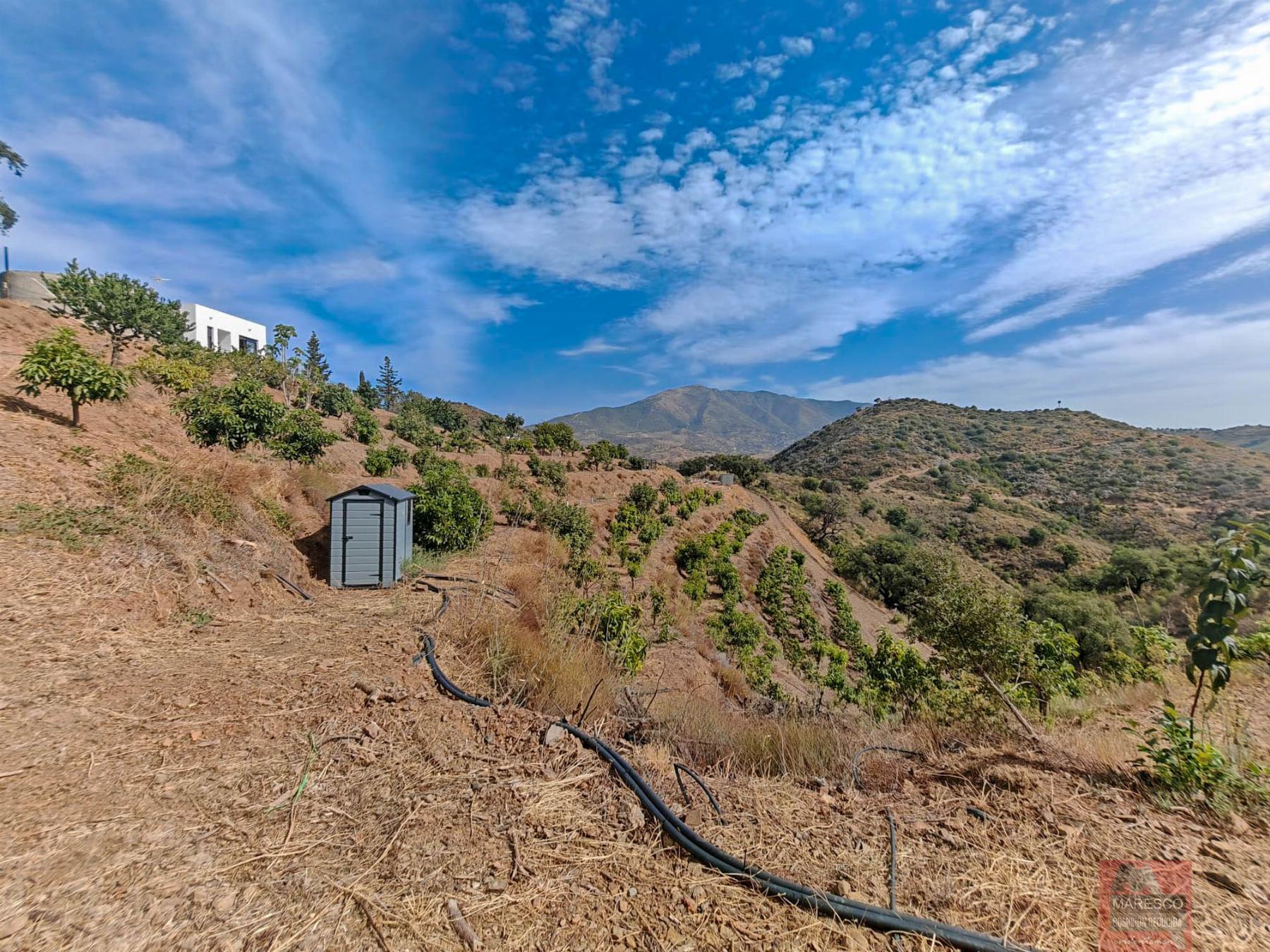 For sale of house in Mijas