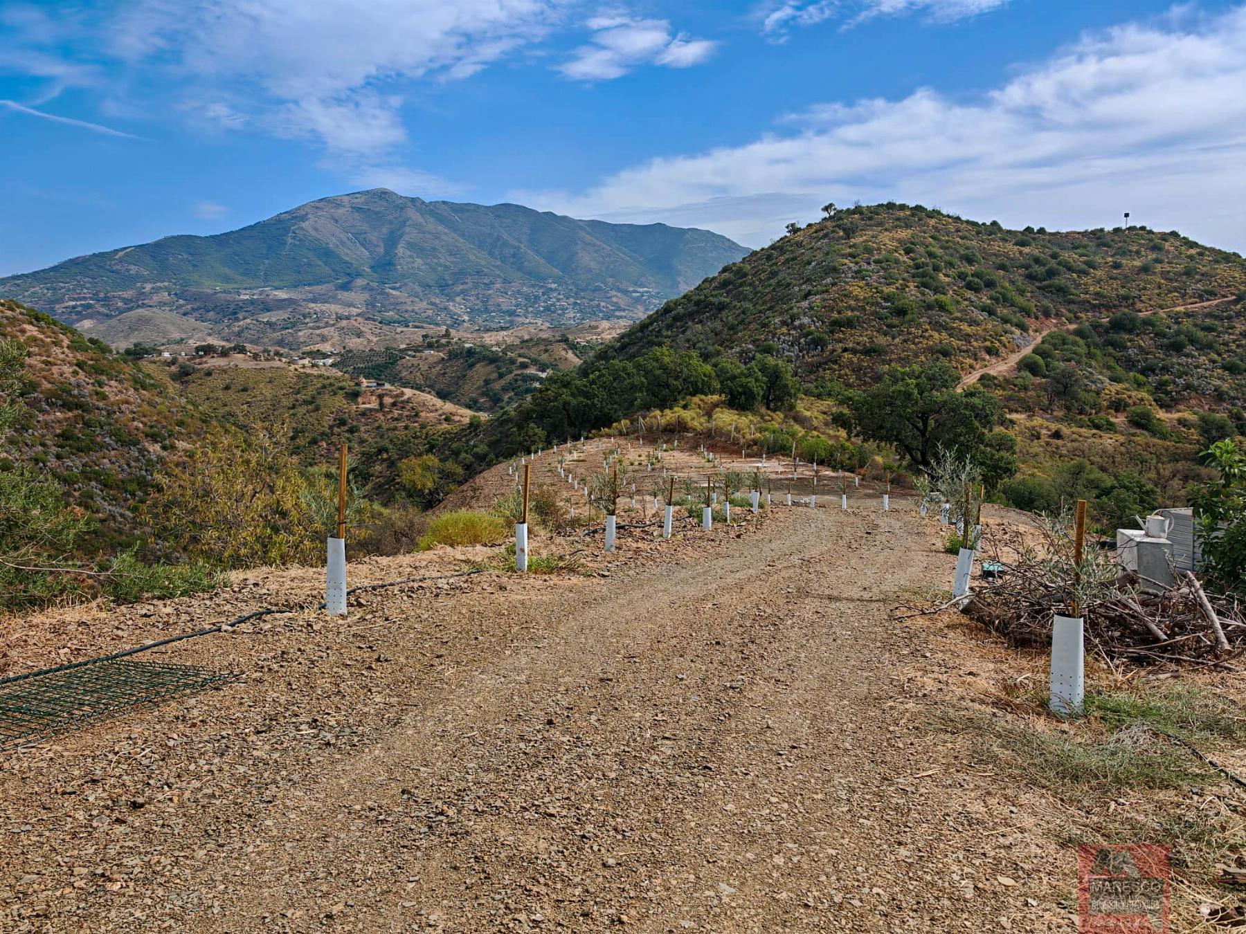 For sale of house in Mijas