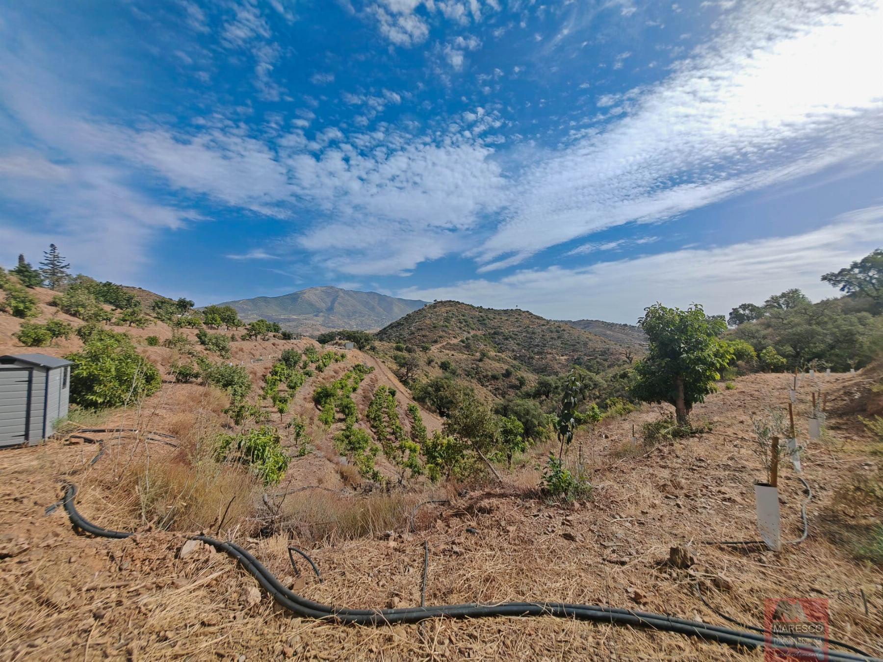For sale of house in Mijas