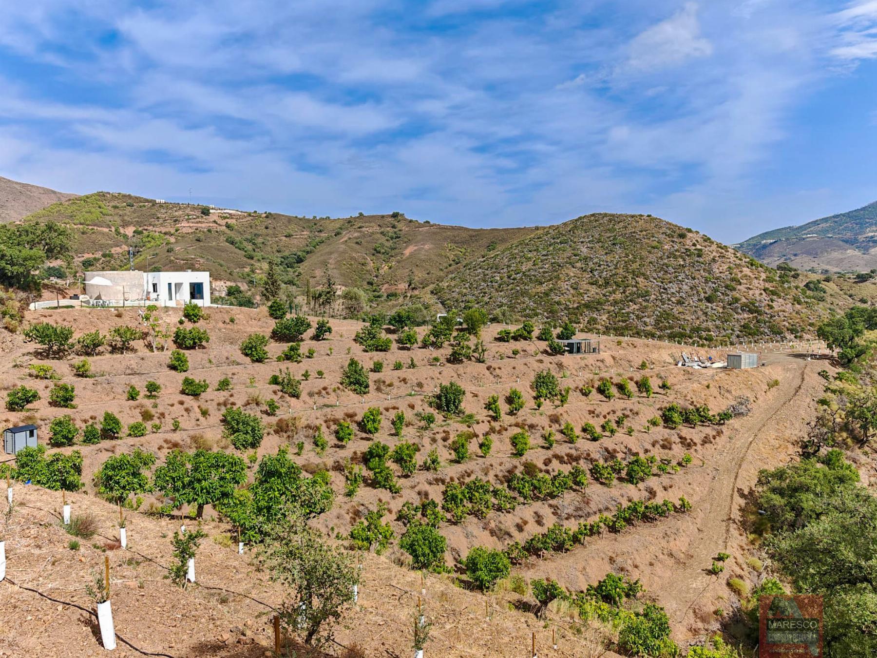 For sale of house in Mijas
