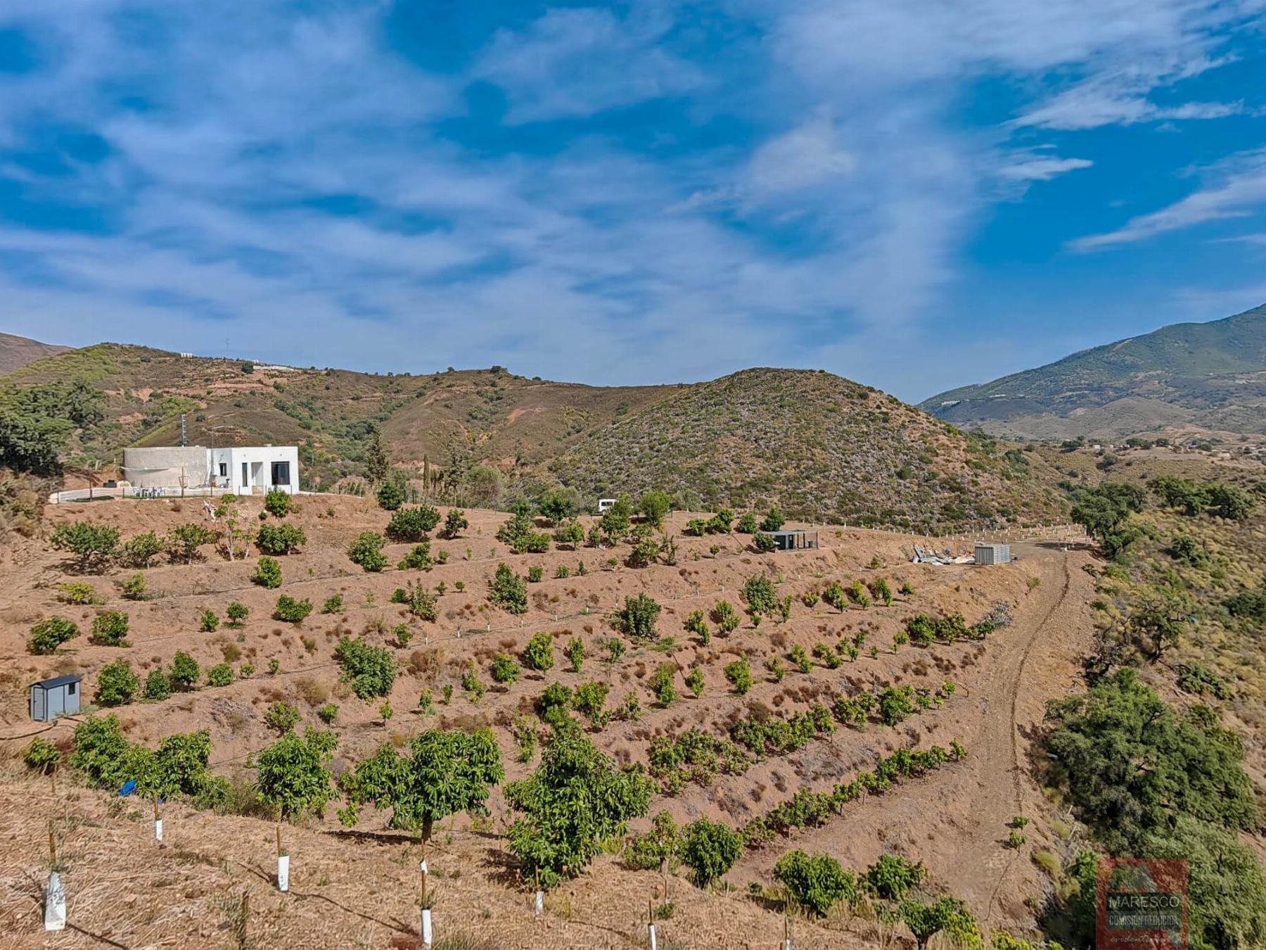 For sale of house in Mijas