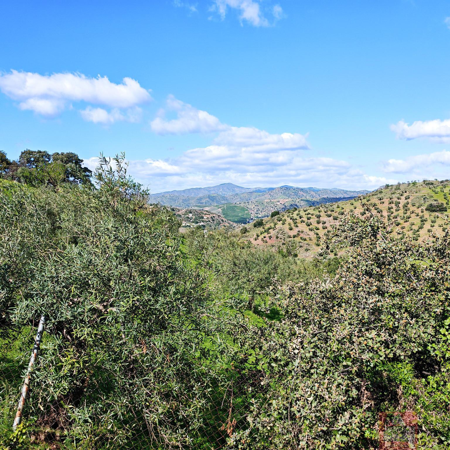 For sale of apartment in Málaga