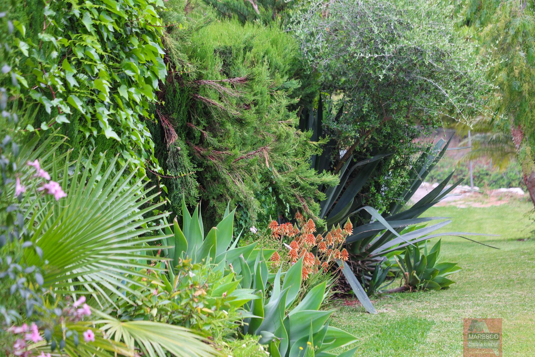 For sale of house in Mijas