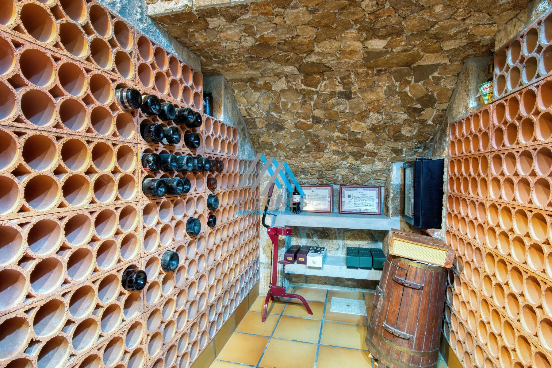 Bodega