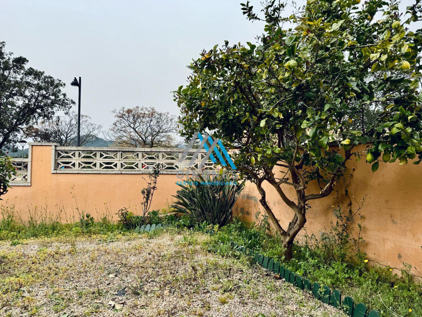 Jardín