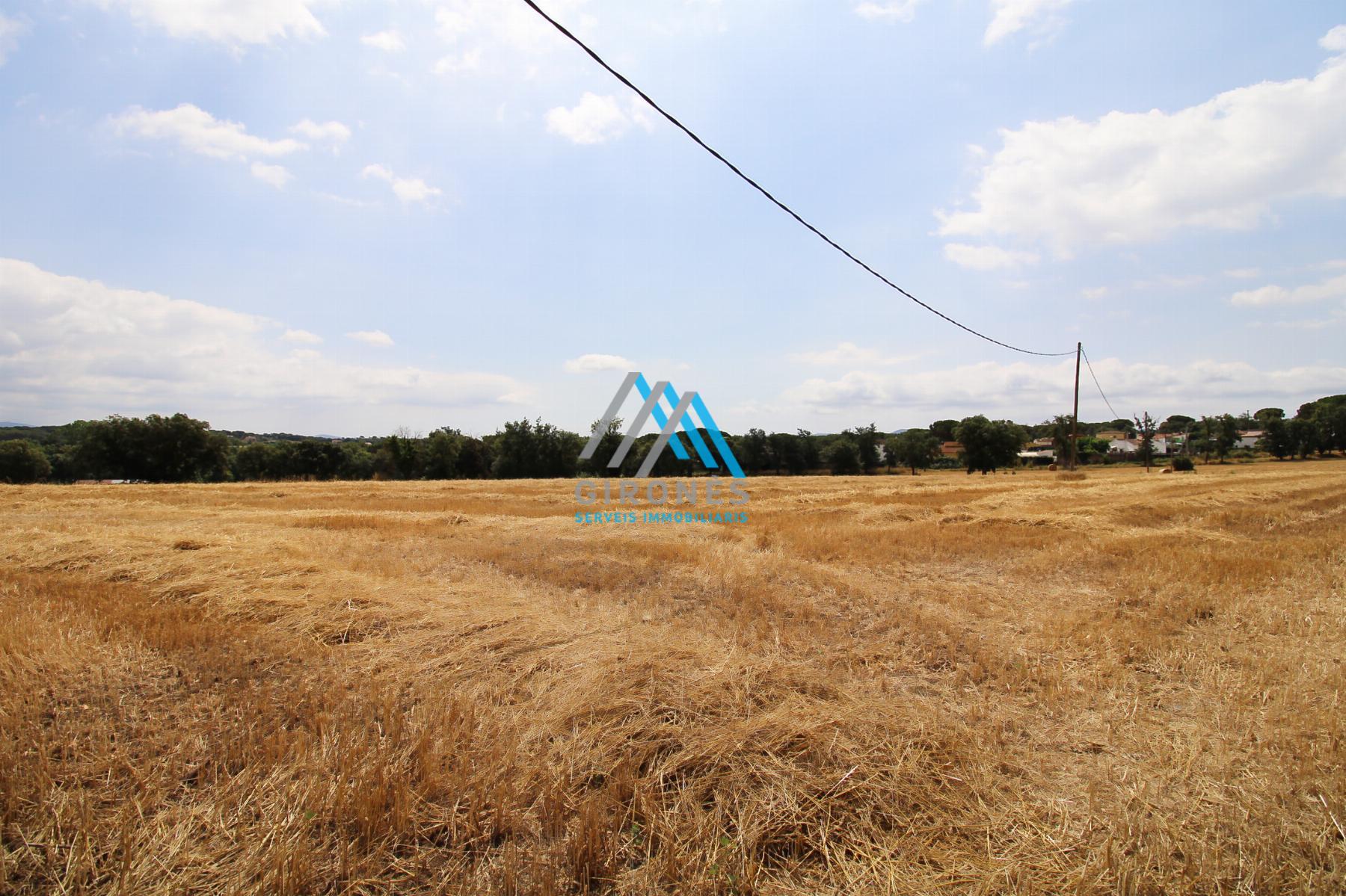 Surroundings