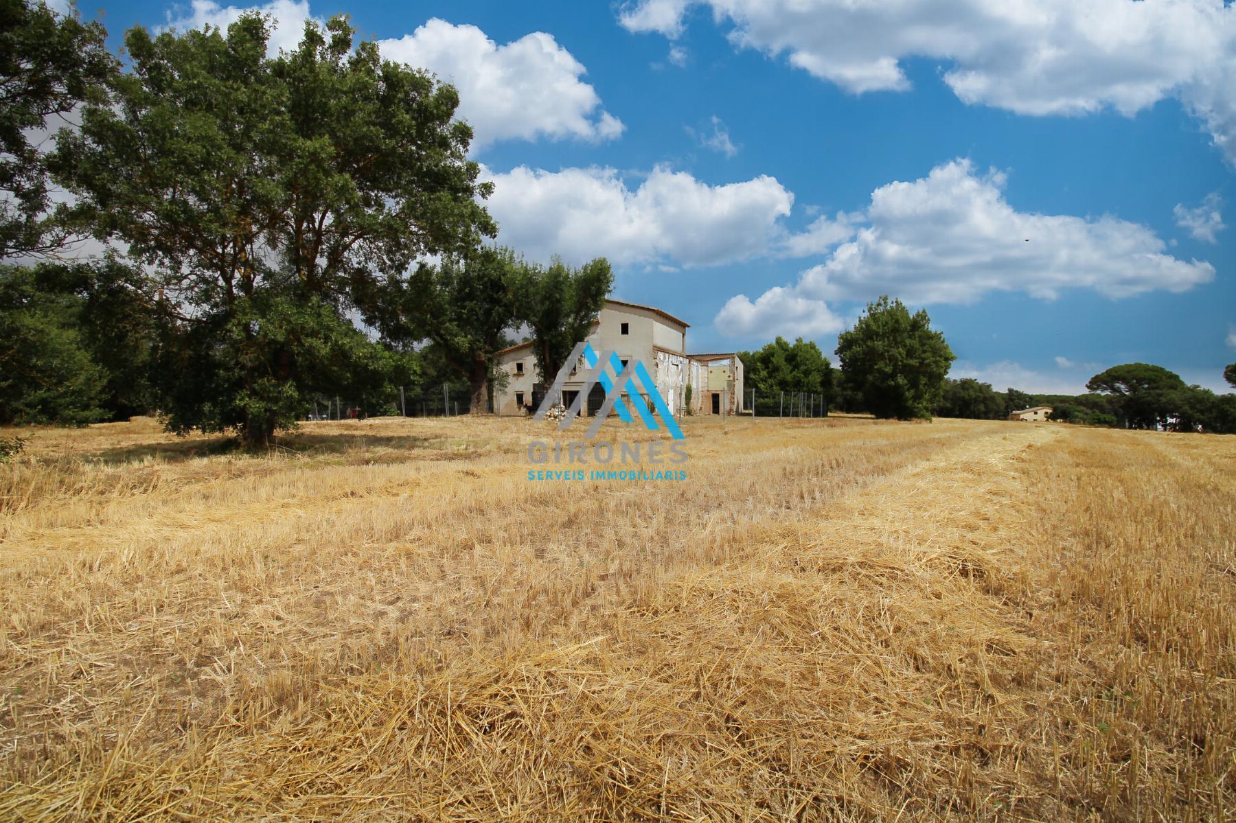 Surroundings
