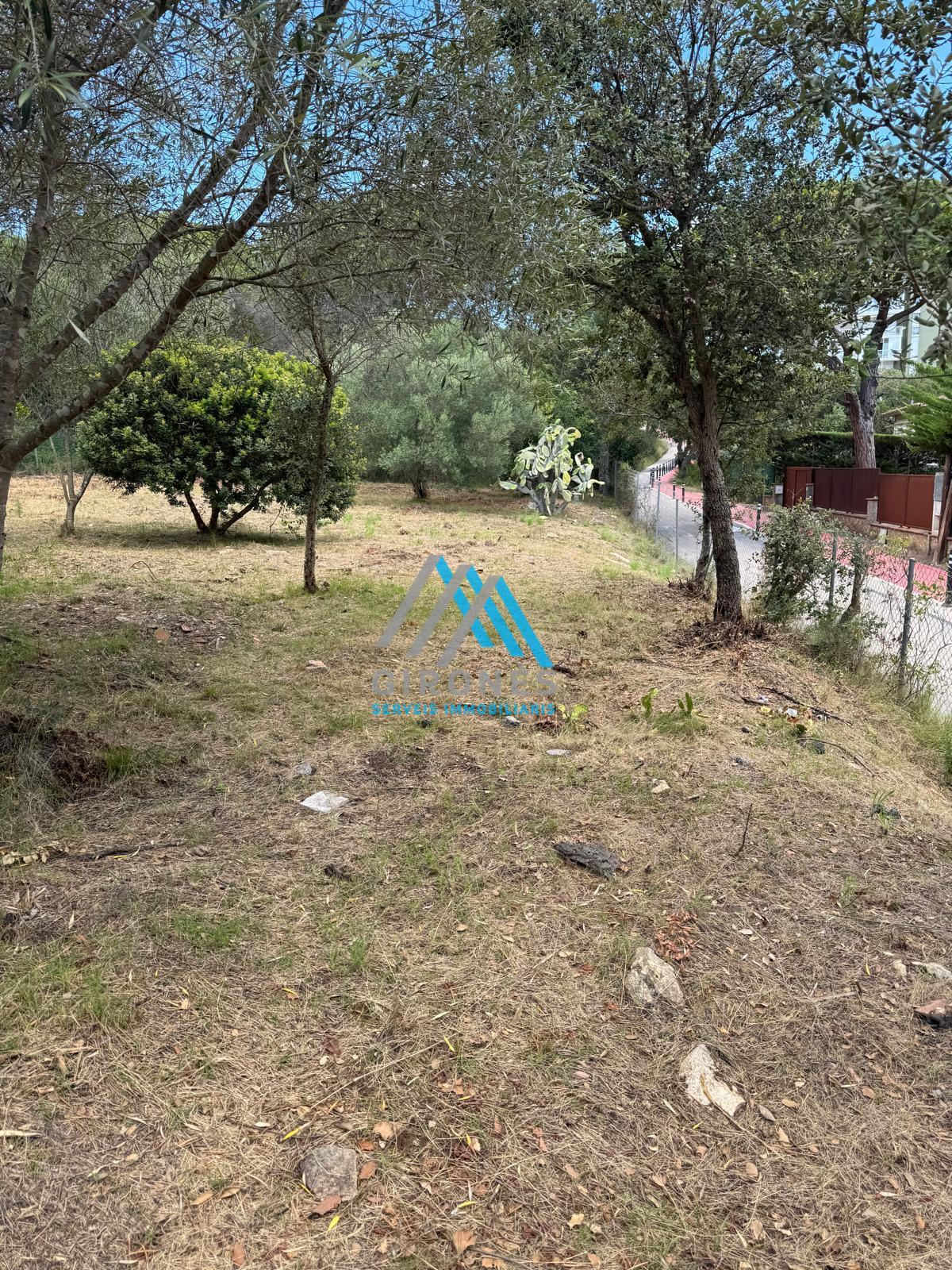 Ground