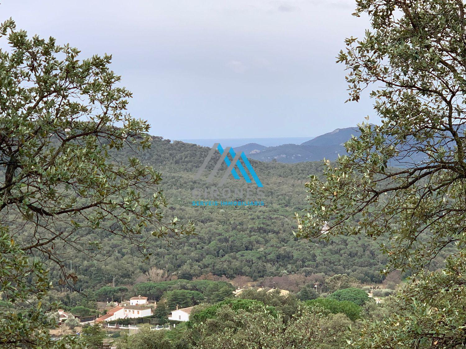 Vente de terrain dans Santa Cristina D´aro