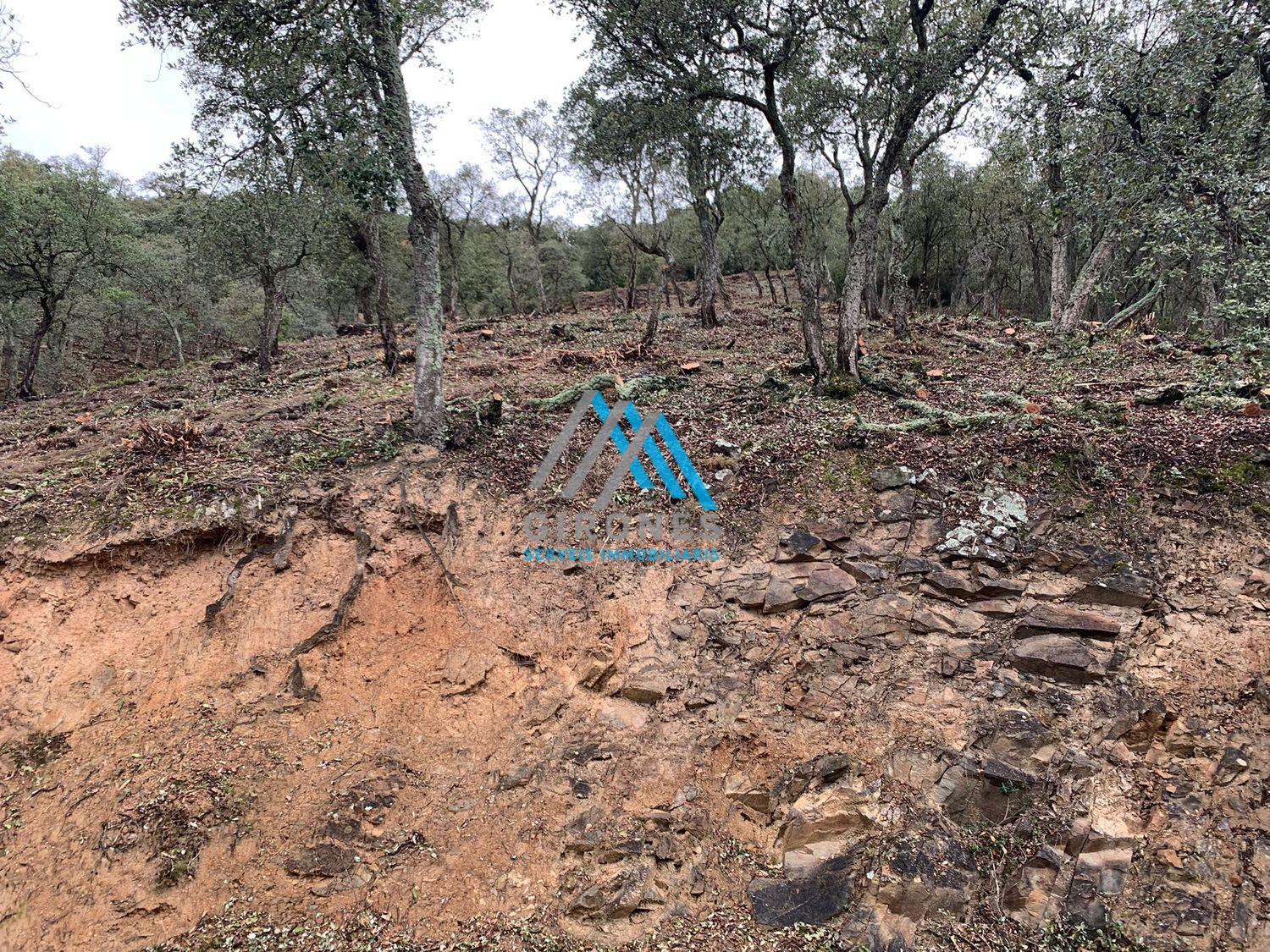 For sale of land in Santa Cristina D´aro